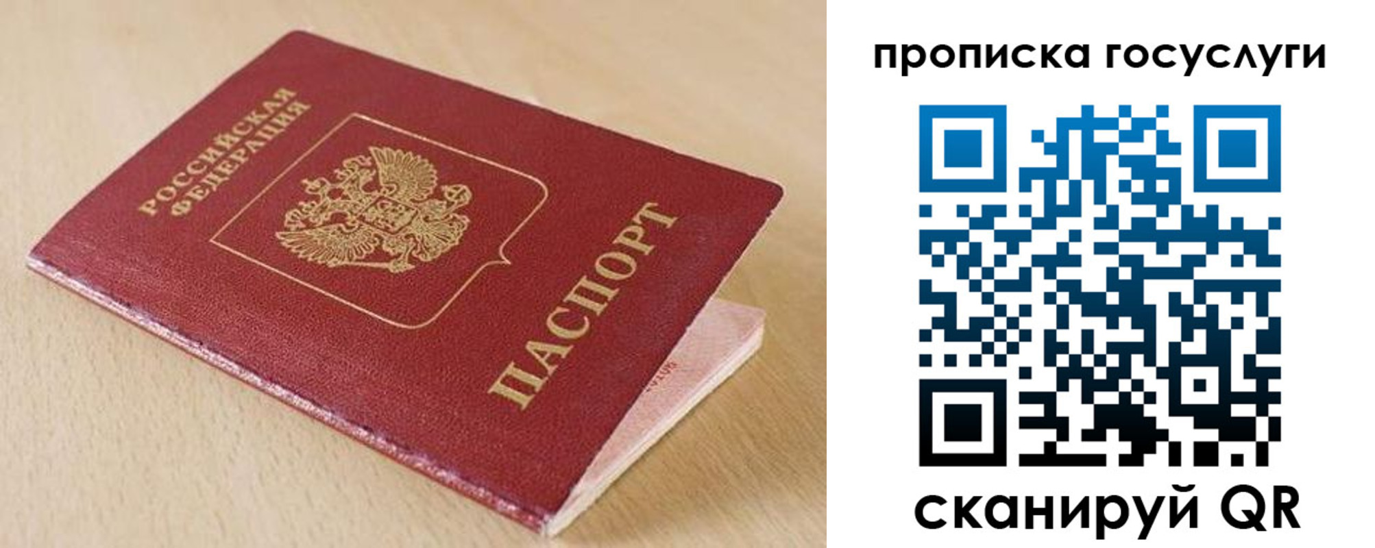 прописка законно в Владимире
